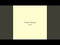 Forest Tranquil