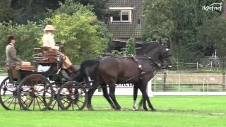 Claudio Fumagalli  -  Amely Von Buchholtz Dressuur CAI-A Beekbergen 2012