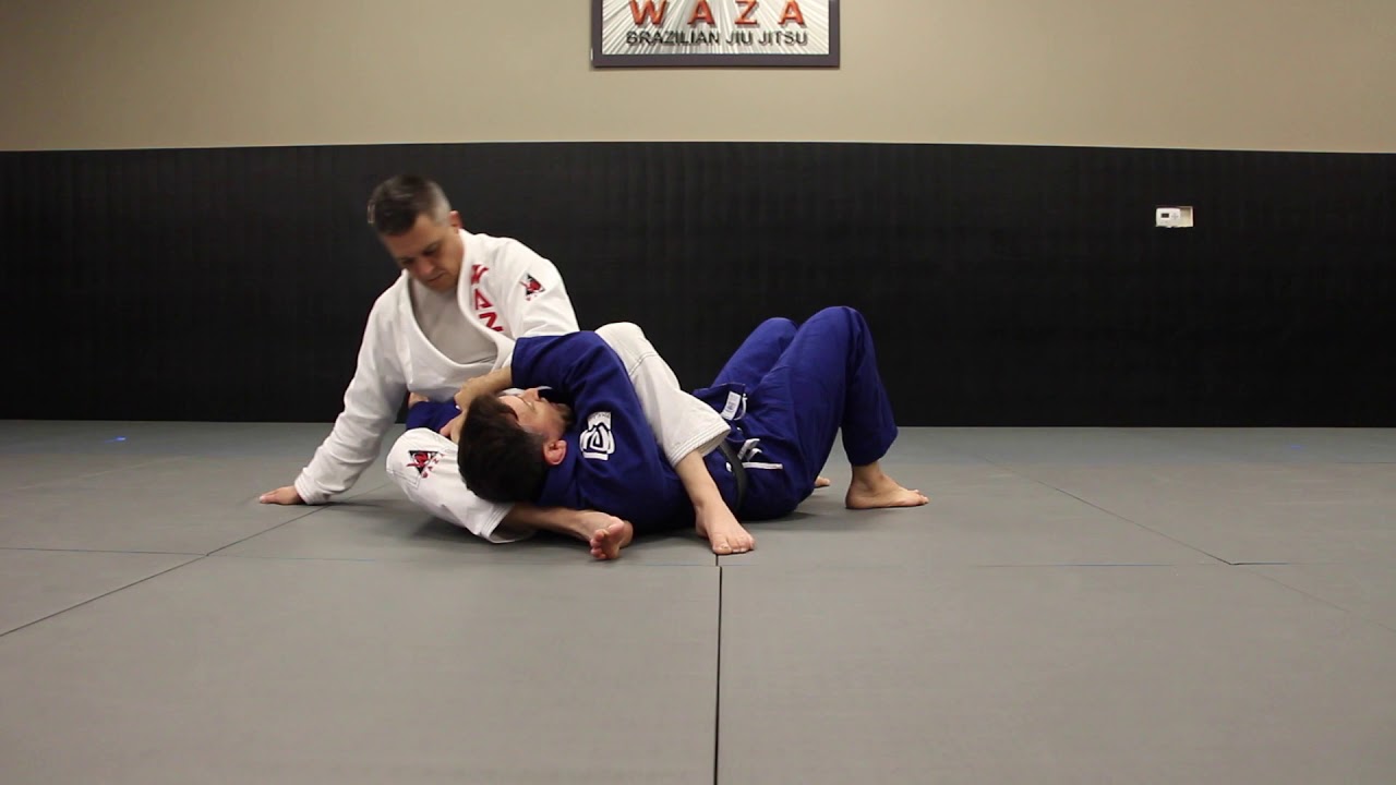 Wazatube Monoplata Counter Youtube