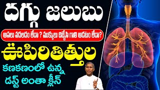 Lungs Cleans | ఊపిరితిత్తుల కణకణం లో ఉన్న డస్ట్ అంతా క్లీన్ !! | Dr Manthena Satyanarayana Raju