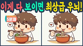 이게 다 보이면 최상급 우뇌! 틀린그림찾기 다른그림찾기 치매예방 퀴즈 두뇌운동