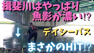 【シーバス】久しぶりの揖斐川でまさかの！？