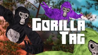 Gorilla Tag Experience | Roblox | NPEGaming
