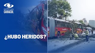 Accidente en Transmilenio: árbol cayó en un bus y causó suspensión del servicio en Calle 45