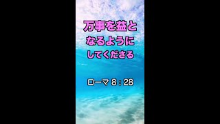 すべてはプラスになる！一発であなたを元気にする！聖書の言葉シリーズ【100】#Shorts #聖書 #元気 #希望