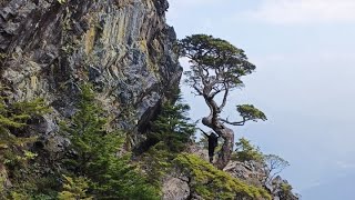 ▌武陵四秀 -4D3N ▌氣勢恢弘百岳 | 環景聖稜線 | 日出/夕陽/雲霧/聖光 | 險峻摸黑V斷