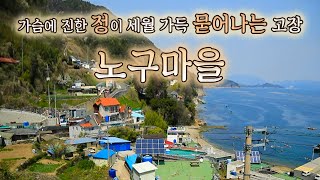 우문현답 | 219화. 경남 남해군 미조면 노구마을 - 요즘 바이러스가 왜 이렇게 우리를 괴롭힐까요? | 2020.04.29(수)