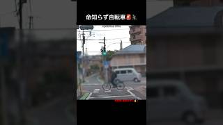 命知らず自転車🚨🚴‍♂️