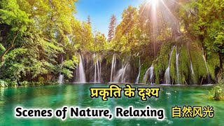 scenes of nature,Relaxing, meditation,close to nature,自然风光,escenas de la naturaleza,प्रकृति के दृश्य