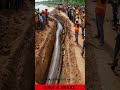 wow amazing a giant anaconda snake in the canal snake anaconda wildlife animals excavator