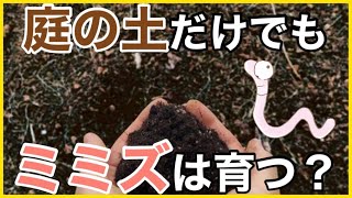 庭の土でミミズコンポストはできるのか？？【ミミズ飼育・捨てない暮らし】