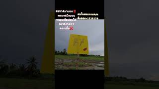 💥ที่ดินแบ่งขายเงินสดและเงินผ่อนฟรีดอกเบี้ย50งวด คลอง9หนองเสือ ปทุมธานี ติดถถนน8เมตร ตรว .ละ3,875บาท