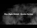 Nisa (Ayda Hüzün) - Geceler Sarhoş