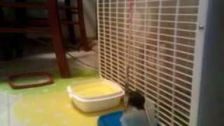 BASIC Stamp Microcontroller Bubble Machine