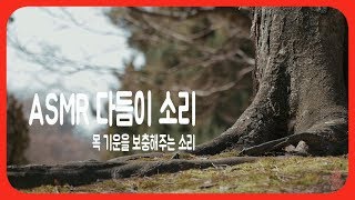 [사주팔자] ASMR 다듬이 두들기는 소리 I 목 기운을 보충해주는 소리