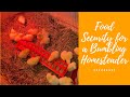 Food Security for a Bumbling Homesteader