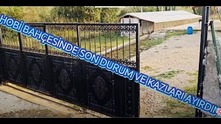 HOBİ BAHÇEMİZDEN ON ALTINCI BÖLÜM - HAYVANLARIMIZ / KAZLARIMIZ