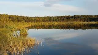 Summer in Lithuania : Dzūkija National Park