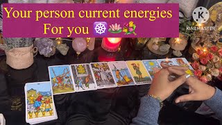 Apke person ki current energies apko lekar 🦢 || Timeless Reading || #fyp #soulmate #tarot #twinflame