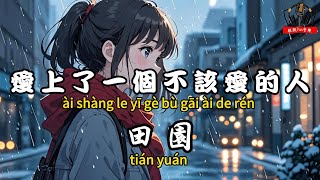 田園 - 愛上了一個不該愛的人『搭上最好的青春 換來的教訓最深』【繁體拼音動態歌詞Lyrics】【CC字幕】