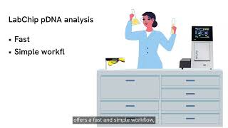 pDNA characterization in less than 2 min per sample