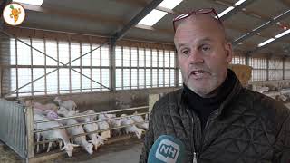 20181210 Geitenstop van kracht in Provincie Noord Holland