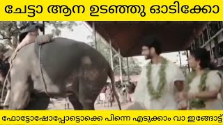 എന്നെ എടുത്ത് എറിയല്ലേഡാ മോനെ |ആന ഇടാഞ്ഞപ്പോൾ |Elephant attack guruvayoor#elephantattack#aana