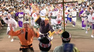 南内町演舞場「高円寺連協会合同連」 2017徳島夏の阿波おどり（2017.8.13）