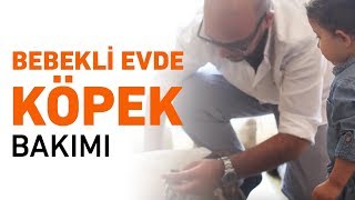 Bebekli Evde Köpek Bakımı Nasıl Olmalı?