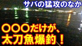 サバ猛攻の中、アノ釣り方だけがバンバン太刀魚を釣ってる！サバで大荒れ神戸ＨＴ10月2週目。