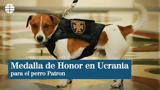 Zelenski le da la Medalla de Honor a Patron, el perro que ha ayudado a desactivar cientos de minas