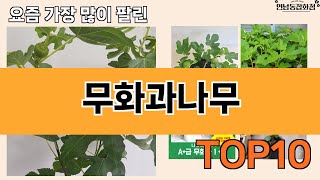 가장 많이 팔린 무화과나무 추천 Top10!