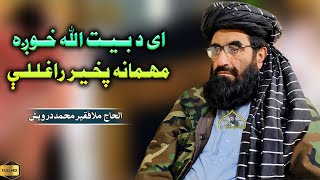 ای د بیت الله خوږه مهمانه پخیر راغللې | فقیر محمد درویش نوی ترانی 2024 | فقیر محمد درویش | 2024