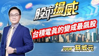 中視【股市揚威】20240308 #蘇威元：台積電真的變成最飆股 #中視 #中視新聞 #蘇威元 #股市揚威 #摩爾證券投資顧問