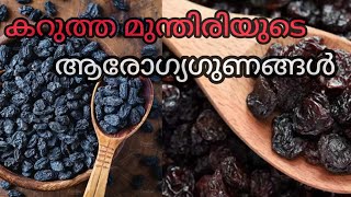 കറുത്ത മുന്തിരിയുടെ ആരോഗ്യഗുണങ്ങൾ||Health benefits of black grapes