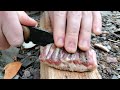 5 reasons why KABAR BK16 knife is perfect