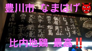 てる坊 愛知三河を食べる 豊川市『なまはげ』 比内地鶏が美味しい居酒屋さん