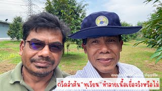 กรีดลำต้นทุเรียนทำลายเนื้อเยื่อจริงหรือไม่ | EP.164