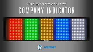 Company Indicator