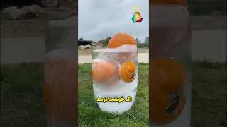 حیوانات عاشق این بلوک یخی شدن!😳😳