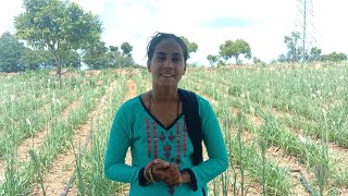 ಸುಗಂಧರಾಜ ಹೂ ಕೃಷಿ ಯಲ್ಲಿ ಕಳೆ ನಿರ್ವಹಣೆ|how to control weed in tuberose forming|