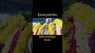 శ్రీ కోదండరామస్వామి ఆలయంలో మత్సావతారములో దర్శనం