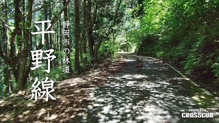 静岡市の林道「平野線」