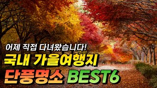 Best 6ㅣ4 minutes of autumn foliage spots that you regret if you miss in fall!