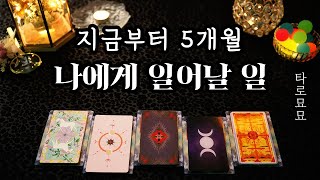 [타로] 지금부터 5개월, 앞으로 나에게 일어날 일