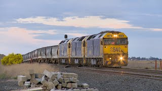 7733V Pacific National Standard Gauge Grain Train With G540 G527 BL27 (20/8/2024) - PoathTV Railways