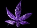 ASAP Ferg - East Coast ft. Remy Ma (Chopped & Screwed) Dj Markadilie