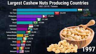 Which Country is the Largest producer of Cashew nuts in the world?