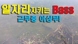 알자리 지키는 배스/부성애/모성애