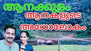 Aanakkulam Munnar | Munnar Sightseeing| Elephant Arrival Zone in Munnar